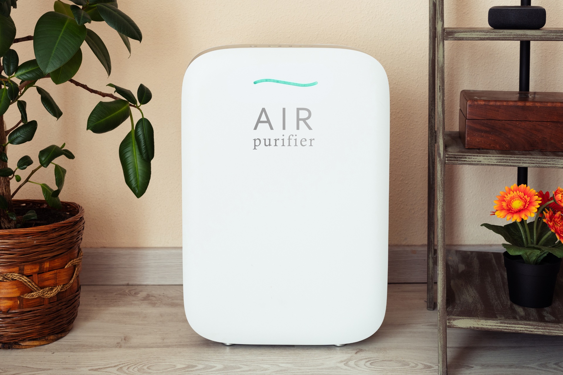 10 Best Air Purifiers for Healthier Air at Home