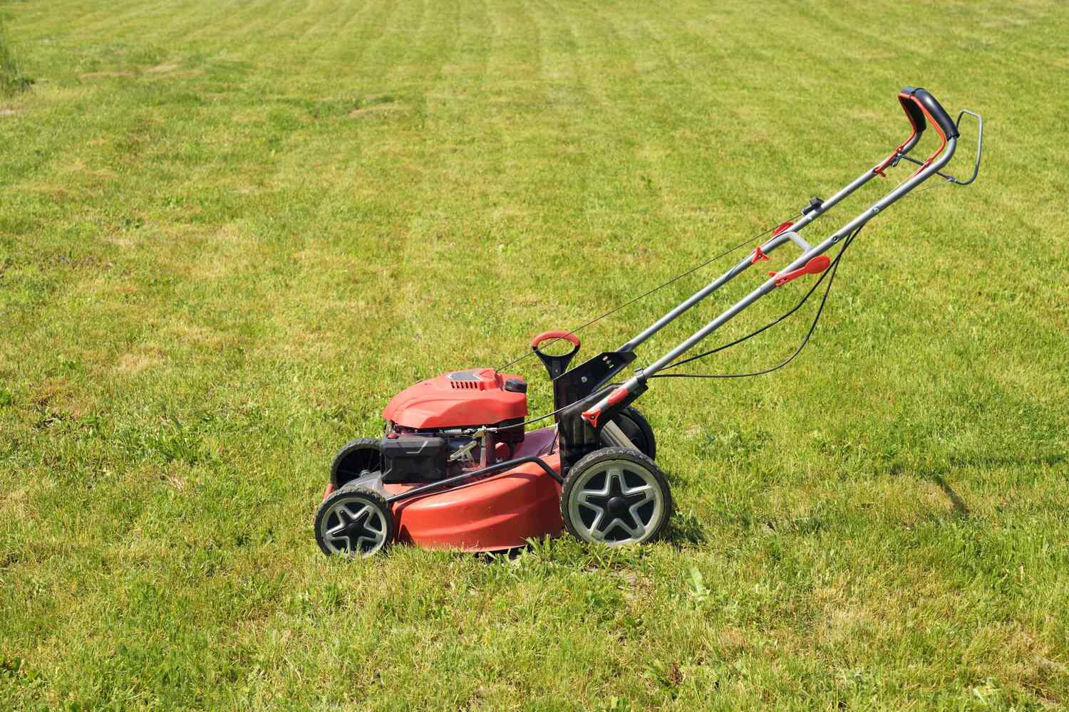 10 Best Lawn Mowers for Small to Large Yards