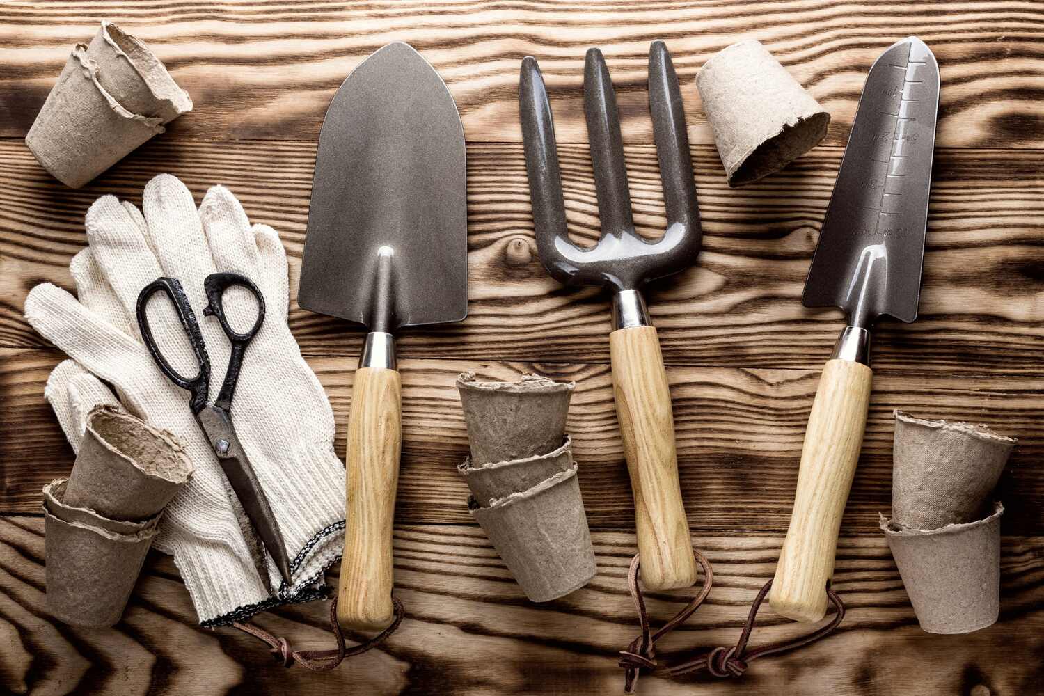 15 Essential Gardening Tools for Beginners